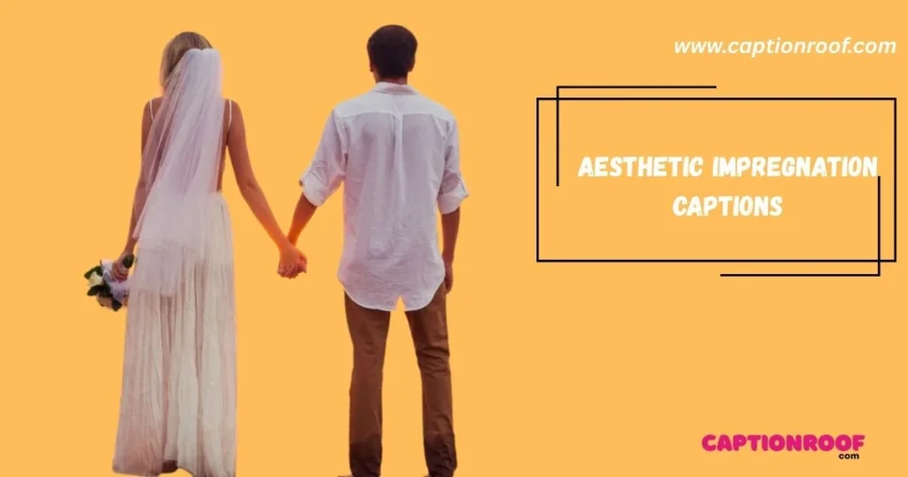 Aesthetic Impregnation Captions