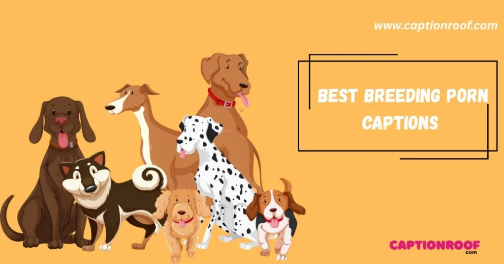 Best Breeding Porn Captions