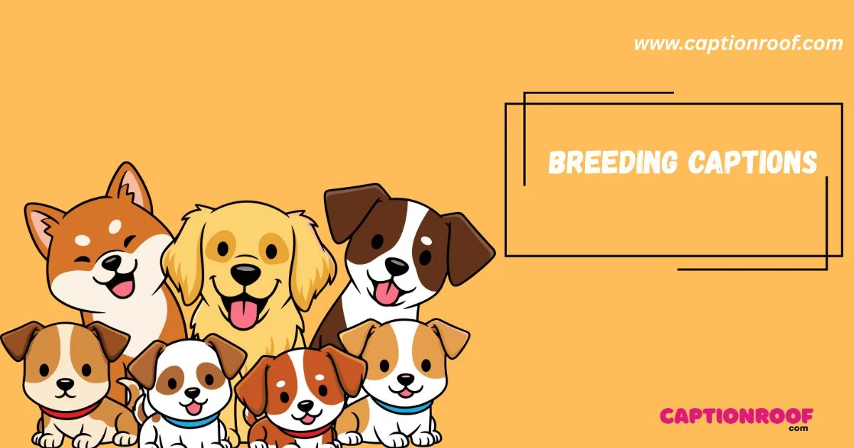 640+ Breeding Captions That Go Viral & Boost Engagement (2026)