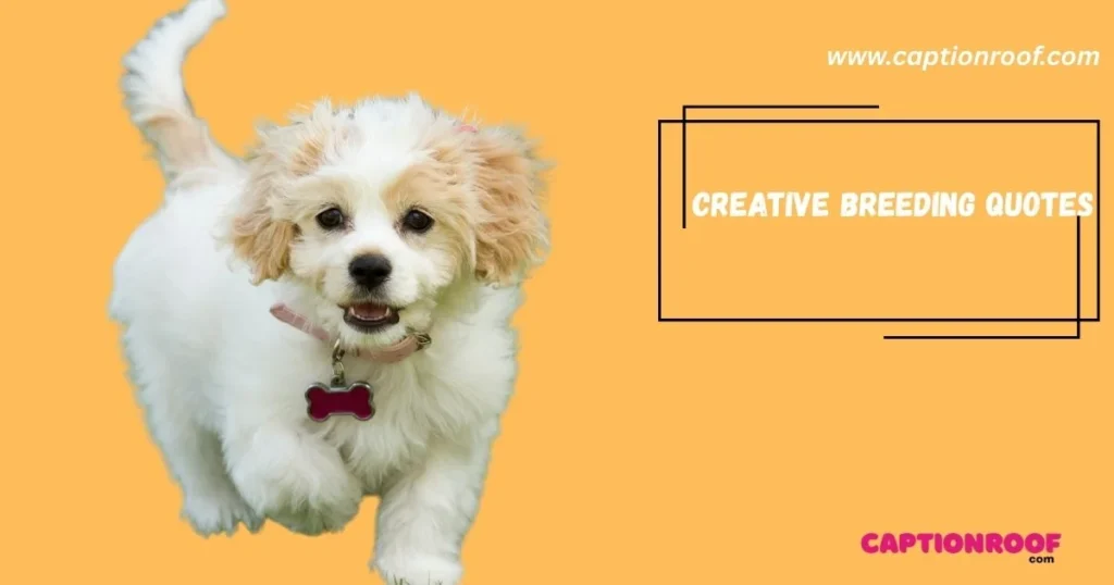 Creative Breeding Quotes