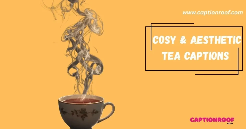 Cosy And Aesthetic Tea Captions