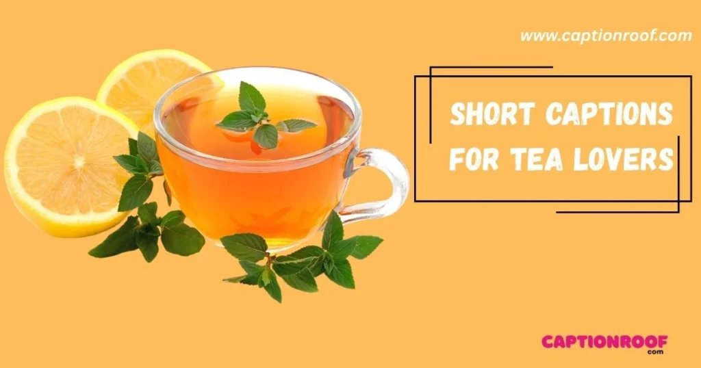 Short Captions For Tea Lovers
