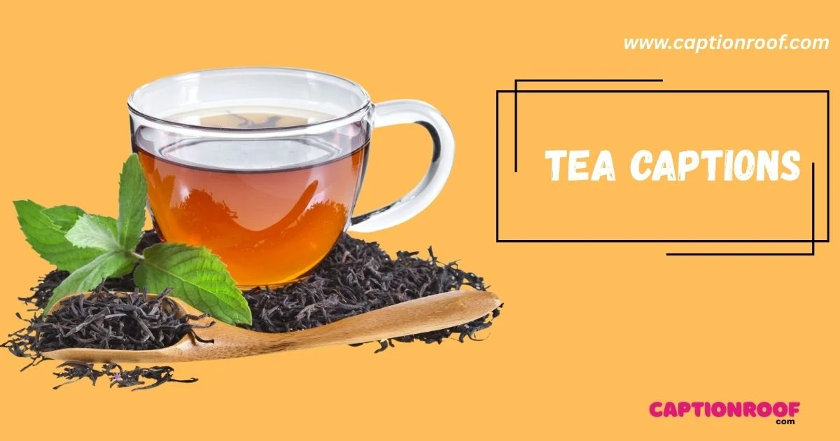 321+ Tea Captions That Brew Instant Vibes (2026)